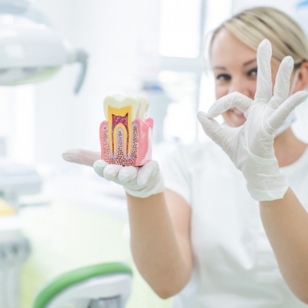 Female dentist holding model of tooth and giving okay sign